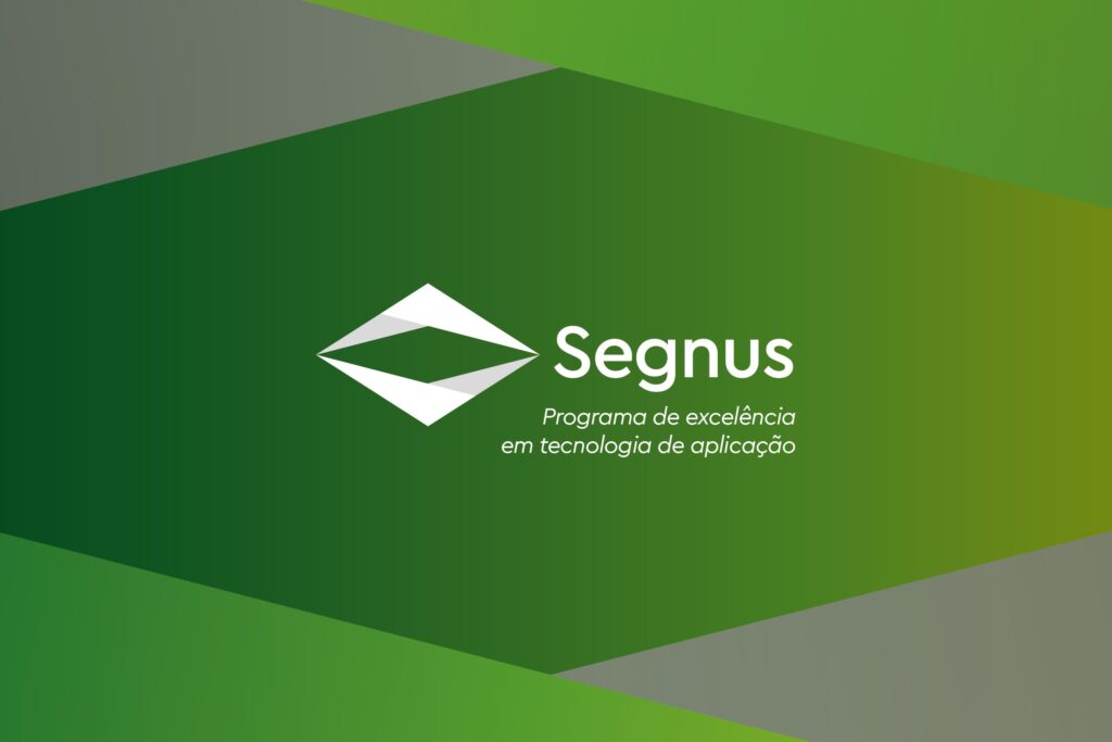 brand-creation-segnus