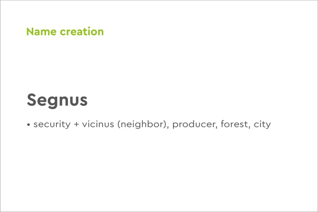 brand-creation-segnus-naming