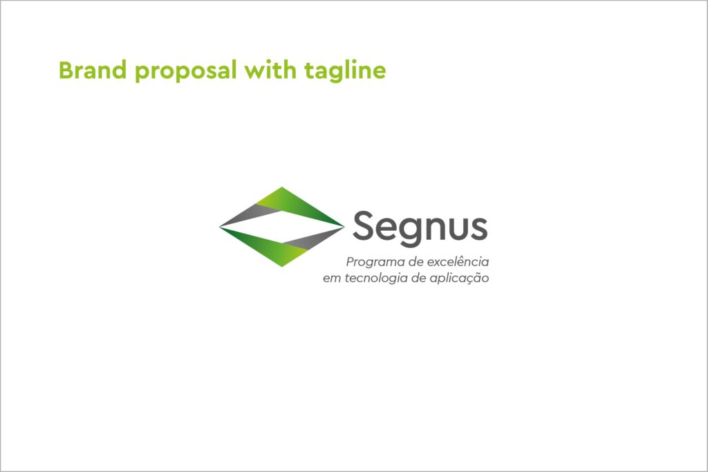 brand-creation-segnus-brand-proposal