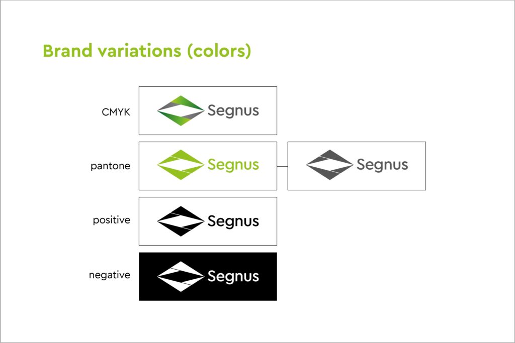 brand-creation-segnus-brand-colors