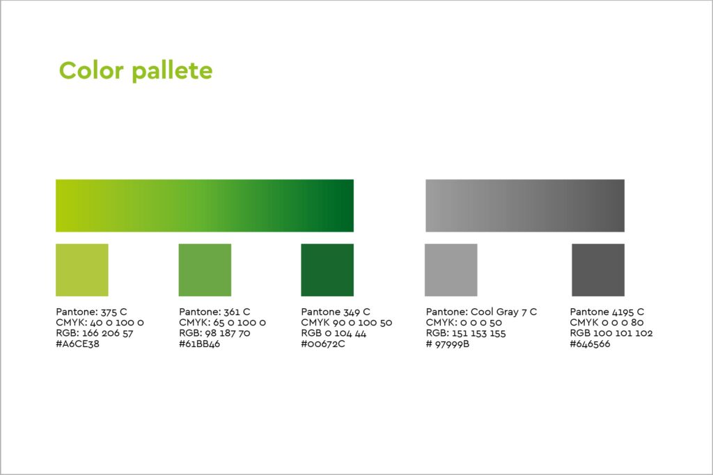 brand-creation-segnus-brand-color-pallete