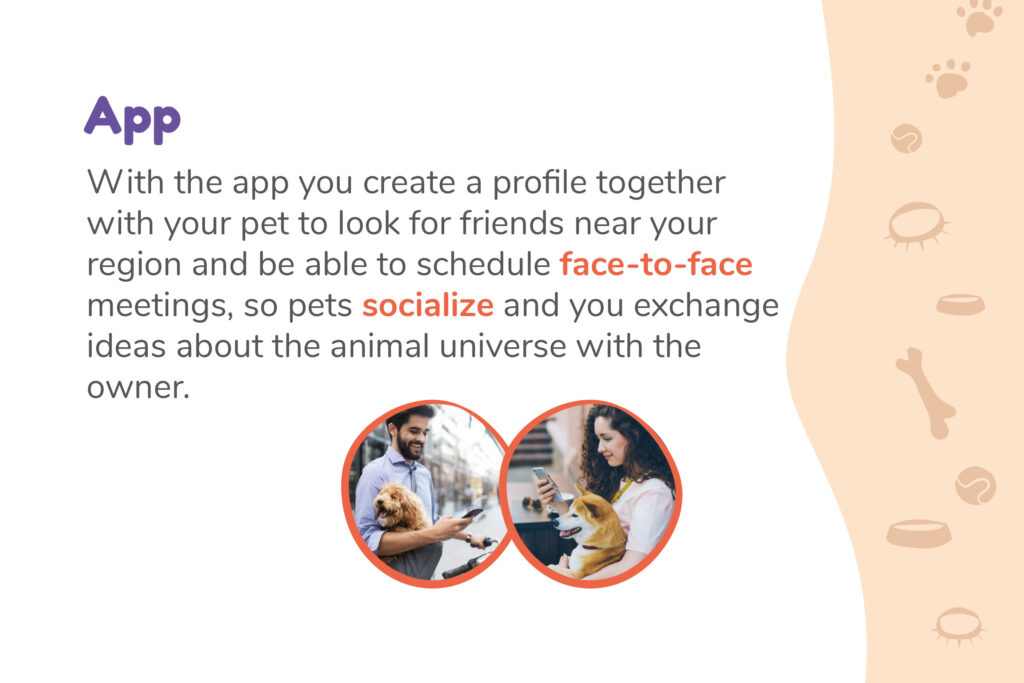 2pet_ux_ui_design_project_app